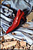 Red Shoe (construction site)