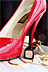 The Red Shoe (vertical)