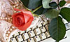 The Dotcom Rose and Keyboard