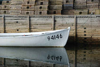 Lobster Traps